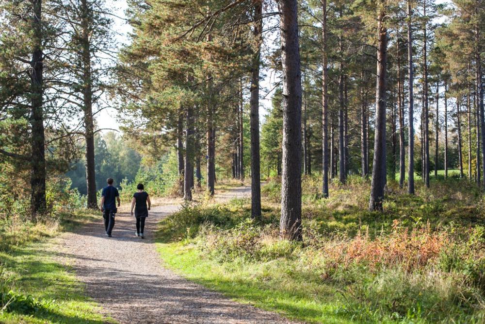 Skelleftea Camping Екстер'єр фото